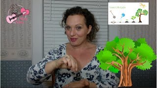 Childrens Rhyme Planting A Tree  Fingerplay and Chant for Preschool Kids amp Toddlers [upl. by Imer646]