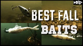 5 BEST BAITFISH BASS LURES for Fall Bass Fishing [upl. by Ahsitel]