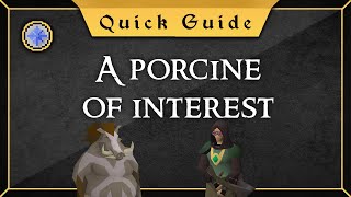 Quest guide A porcine of interest [upl. by Alesig]