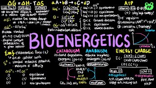 Bioenergetics  Principles of Metabolism 01  Biochemistry  PP Notes  Lehninger 6E Ch13 [upl. by Goddart]