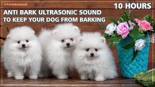 10 Hours Ultrasonic Sound To Stop Your Dog From Barking  Anti Bark Control [upl. by Ymrots]