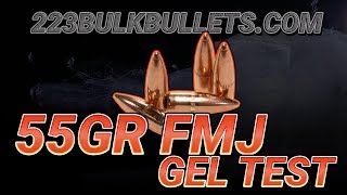 How Good Can a Plain 55gr FMJ Bullet Be [upl. by Coit71]