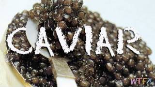 What Is and How to Eat Caviar Caviar 101 [upl. by Nostets891]