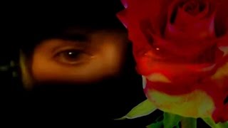 Enya  China Roses Music Video [upl. by Alisha]