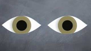 How to Examine Normal Pupils [upl. by Akili]