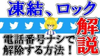 【電話番号なし】ツイッター ロック、凍結の解除方法（ やり方 方法 仕方）【アカウントBAN復旧】 [upl. by Adhern441]