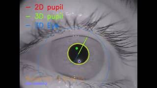 Fast Accurate Opensource Eye Tracking [upl. by Evante]