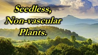 Chap 21  video  Seedless Nonvascular plants [upl. by Kirshbaum]