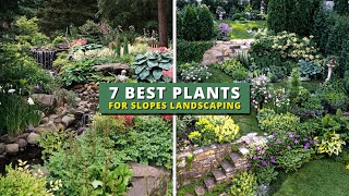 7 Best Plants for Slope Landscaping Areas 👌👍 [upl. by Onaimad]