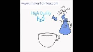 The Immortalitea Company Guide to Brewing Loose Leaf Jiaogulan Gynostemma Tea [upl. by Dahc]