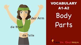 Learn German  German Vocabulary  die Körperteile  Body parts  der Körper  A1 [upl. by Lilybel]