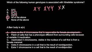 Klinefelter syndrome and Barr body explained [upl. by Yrgoerg927]