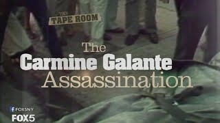 The Carmine Galante Assassination  The Tape Room [upl. by Sedgewinn]