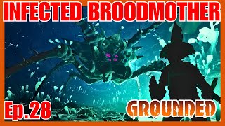 Infected Broodmother Full Guide  Grounded [upl. by Yecaw930]