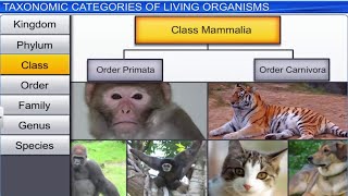 CBSE Class 11 Biology  The Living World  Full Chapter  By Shiksha House [upl. by Yellat]