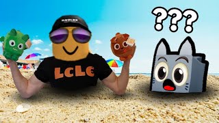 Pet Simulator X BUT at the BEACH [upl. by Aissila974]