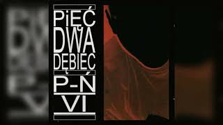 Pięć Dwa Dębiec  PŃ VI Full Album [upl. by Atteras]