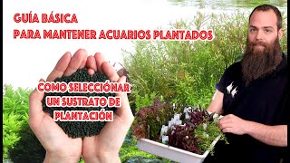 Guía básica para mantener acuarios 🌿plantados ☘️ SUSTRATOS NUTRITiVOS [upl. by Oilicec]