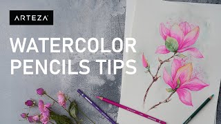 Watercolor Pencils Tutorial For Beginners TOP 7 TECHNIQUES [upl. by Melliw543]