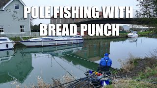 Pole Fishing with Bread Punch  River Hull [upl. by Halyak]