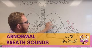 Abnormal Breath Sounds  Respiratory System [upl. by Lerred]