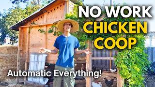 How to Design a Chicken Coop Automatic Food Water Easy to Clean [upl. by Saber]