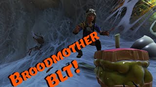 Broodmother BLT Where amp How  Grounded [upl. by Assyn]