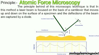 AFMAtomic Force Microscopy [upl. by Amieva]