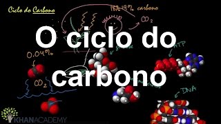 O ciclo do carbono  Ecologia  Biologia  Khan Academy [upl. by Emorej674]