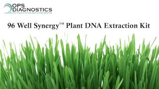 96 Well Synergy™ Plant DNA Extraction Kit [upl. by Opalina]