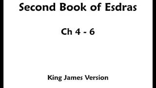 2 Esdras  Part 2  Chapter 4  6 Audio Bible KJV [upl. by Neehsar575]