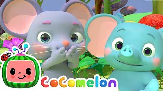 The Sneezing Song  CoComelon  Kids Learning Videos  Nursery Rhymes [upl. by Eboh796]