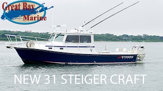 NEW Steiger Craft 31 Chesapeake [upl. by Aicilat871]