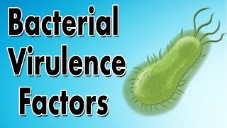 Bacterial Virulence Factors [upl. by Asnerek]