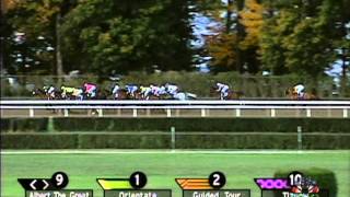 2001 Breeders Cup Classic [upl. by Murvyn175]