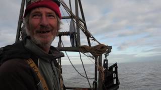 TRAWLING BLACK DEEP  Fishing for skate in the Thames estuary with Tim Cook [upl. by Annahsit]