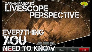 LiveScope Perspective  Everything You Need to Know [upl. by Cele]