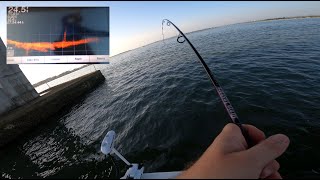 Saltwater Garmin Panoptix LiveScope Sytstem  Fishing inshore structure [upl. by Marin]