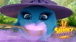 Videos For Kids  BUNNY WITCHES  SUNNY BUNNIES  Funny Videos For Kids [upl. by Ahsirhcal]