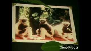 Zoboomafoo  Leapin Lemurs PS1 [upl. by Attiuqram]