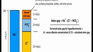 Understanding Anion Gap in 5 minutes [upl. by Katt]