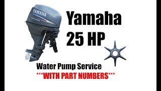 How to Change a 25 Hp Yamaha Outboard Water Pump Impeller [upl. by Drehcir]