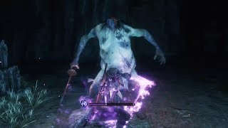 Sekiro Shadows Die Twice  Headless Boss Fight amp Location  Sunken Valley [upl. by Aharon]