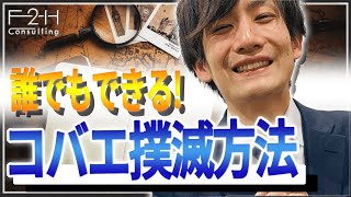 コバエ駆除方法｜誰でもできる効果的なコバエ対策とは？ [upl. by Hellman402]