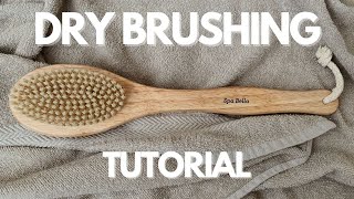 Dry Brushing Tutorial [upl. by Anilocin144]