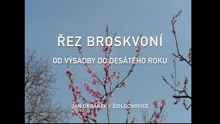 Řez broskvoní  od výsadby do desátého roku 1 díl [upl. by Dlanigger]