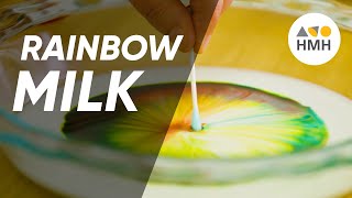 Milk Soap Rainbow Experiment  90Second Science [upl. by Ekusoyr549]