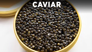 How To Eat Caviar [upl. by Cila]