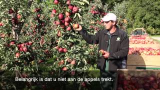 Instructievideo pluk appels en peren [upl. by Simmons225]