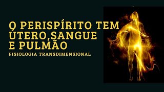 O PERISPÍRITO TEM ÓRGÃOS [upl. by Eelirak653]